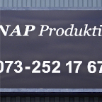 R03-NAP-loggo (1)