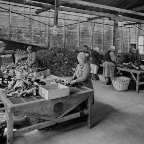 E80-Lumpsorteringen 1940-talet